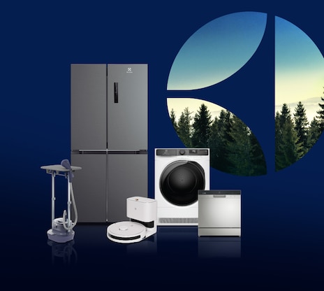 Year end festive promotion