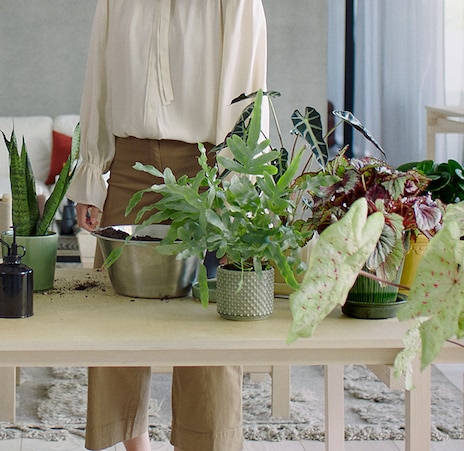 Best Room Air Purifier with Hepa Filter 