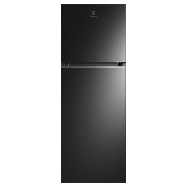 310L UltimateTaste 300 top freezer refrigerator