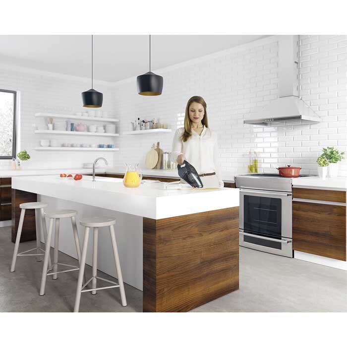 Rapido handheld vacuum cleaner ZB6307DB Electrolux Singapore