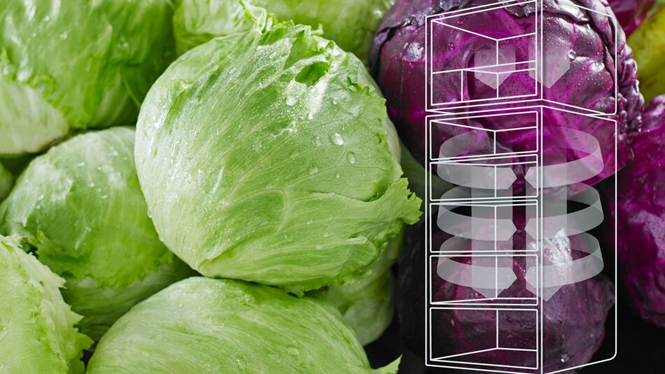 Stable temperature. Fresher Food.