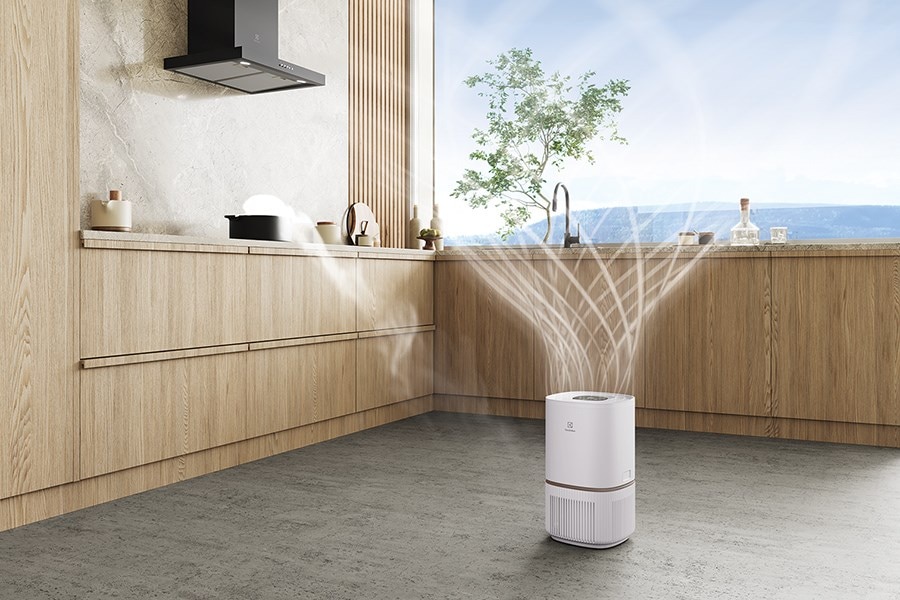 Removes odours and smoke